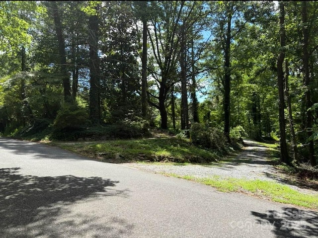 225 Wilderness Rd, Tryon, NC 28782 - view of street featuring a view of trees