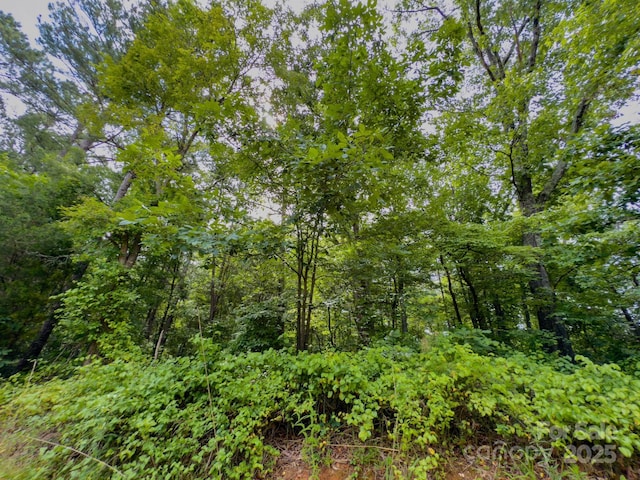 0 Powell Ave, Lancaster, SC 29720 - photo 4