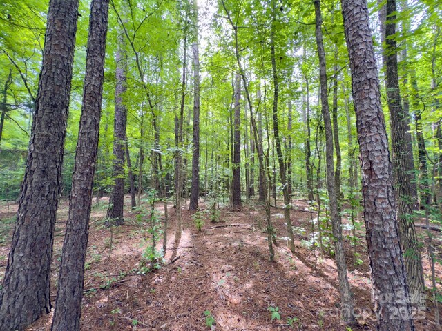 0 Powell Ave, Lancaster, SC 29720 - photo 13