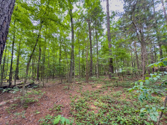 0 Powell Ave, Lancaster, SC 29720 - photo 18