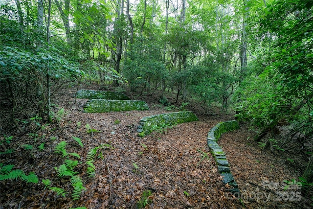 1152 Soquili Dr, Brevard, NC 28712 - photo 31
