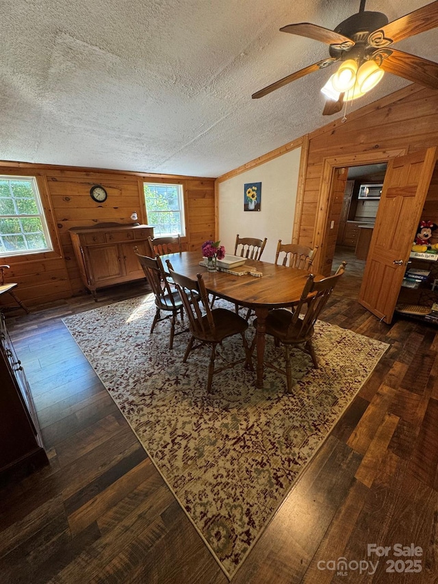 19 Timbers Edge Ln Unit 23, Fairview, NC 28730 - dining space featuring wooden walls, vaulted ceiling, dark wood-style flooring, a textured ceiling, and plenty of natural light