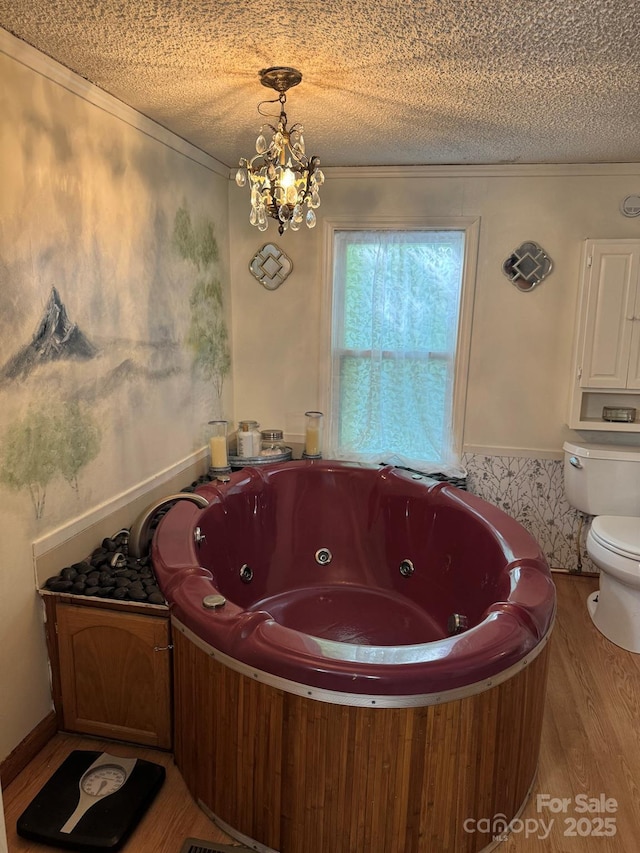 19 Timbers Edge Ln Unit 23, Fairview, NC 28730 - full bathroom featuring a tub with jets, a textured ceiling, wood finished floors, and wainscoting