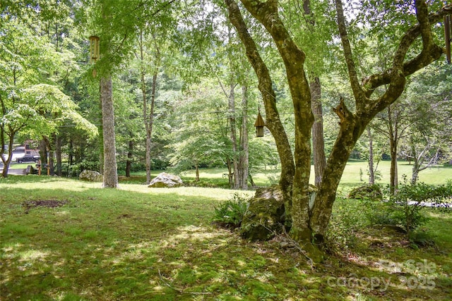 3435 Conleys Creek Rd, Whittier, NC 28789 - view of green lawn