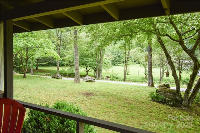 3435 Conleys Creek Rd, Whittier, NC 28789 - view of green lawn