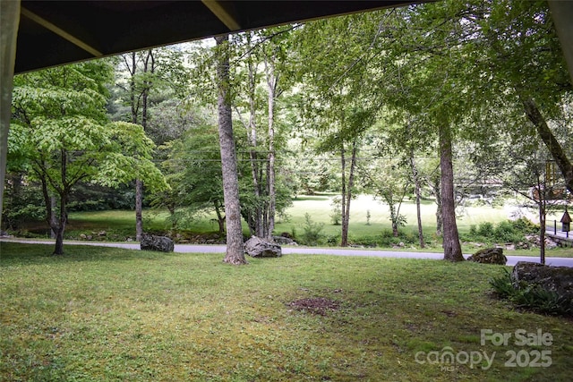 3435 Conleys Creek Rd, Whittier, NC 28789 - view of grassy yard