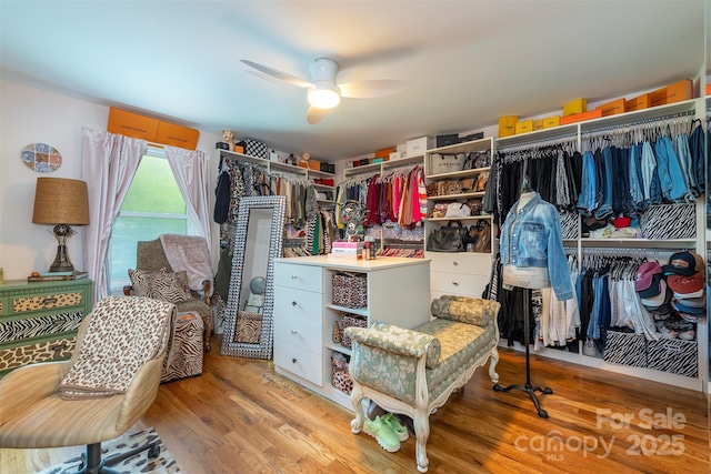 84 W St, Weaverville, NC 28787 - walk in closet with light wood-style floors and ceiling fan