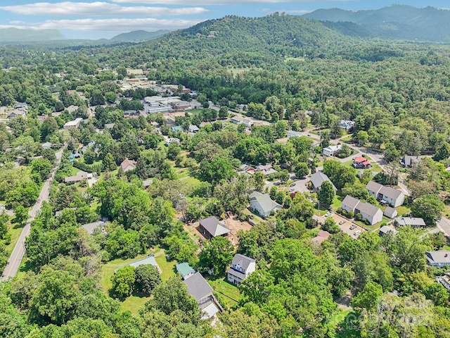 84 W St, Weaverville, NC 28787 - photo 35