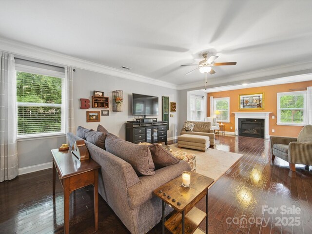 9450 Surface Hill Rd, Mint Hill, NC 28227 - living room with ornamental molding, dark wood-type flooring, a ceiling fan, and a glass covered fireplace