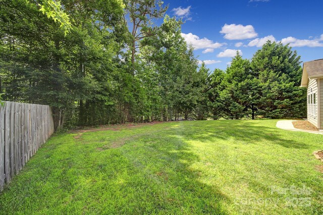 2000 Taney Way, Indian Land, SC 29707 - photo 41