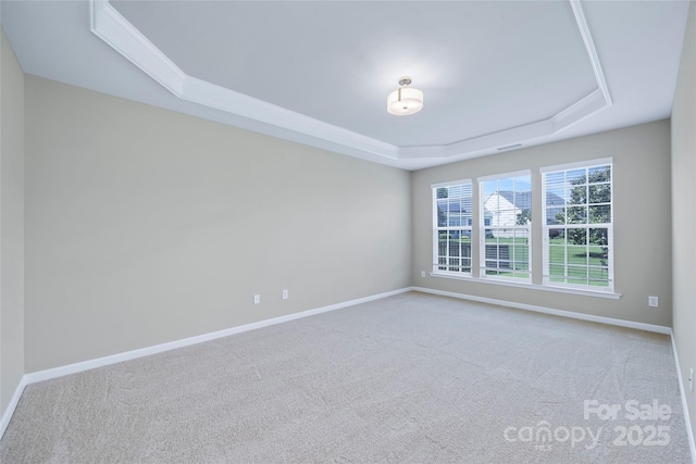 8409 Darcy Hopkins Dr, Charlotte, NC 28277 - empty room with a raised ceiling and carpet flooring