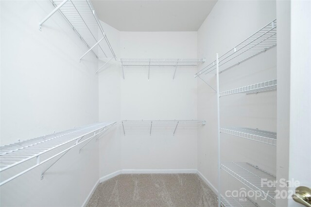 8409 Darcy Hopkins Dr, Charlotte, NC 28277 - walk in closet featuring carpet