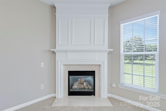 8409 Darcy Hopkins Dr, Charlotte, NC 28277 - detailed view of a glass covered fireplace and carpet floors