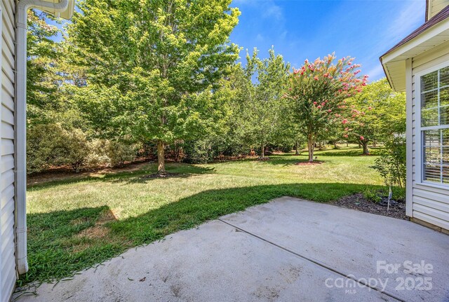 870 Platinum Dr, Fort Mill, SC 29708 - photo 35