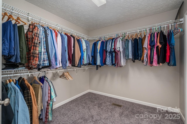 104 Nottingham Dr, Maiden, NC 28650 - walk in closet featuring carpet