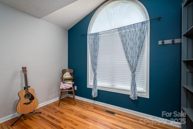 104 Nottingham Dr, Maiden, NC 28650 - living area featuring lofted ceiling, wood finished floors, and a textured ceiling