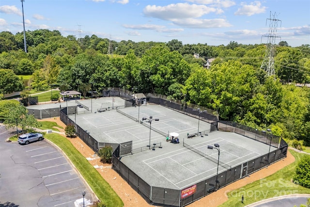 10007 Hillspring Dr, Huntersville, NC 28078 - drone / aerial view