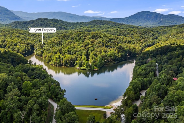 230 Mallard Rd, Lake Lure, NC 28746 - photo 6