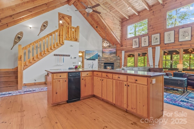 230 Mallard Rd, Lake Lure, NC 28746 - photo 18