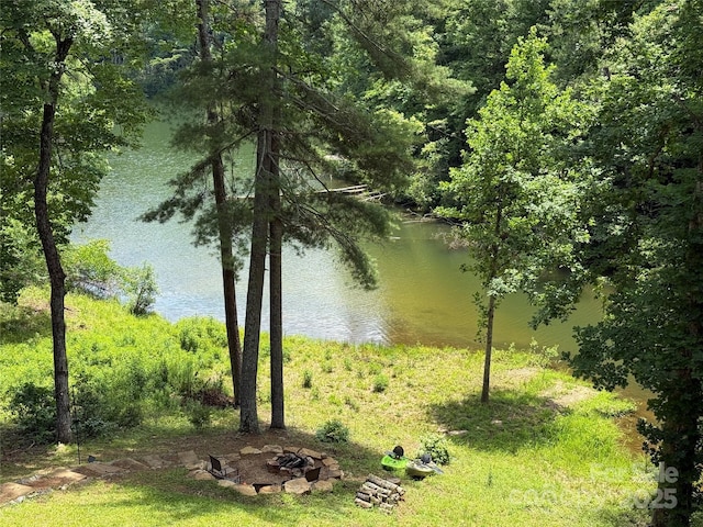 230 Mallard Rd, Lake Lure, NC 28746 - photo 48