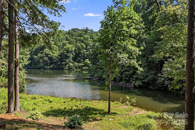 230 Mallard Rd, Lake Lure, NC 28746 - photo 7