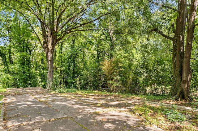 524 W Horah St, Salisbury, NC 28144 - view of tree filled area