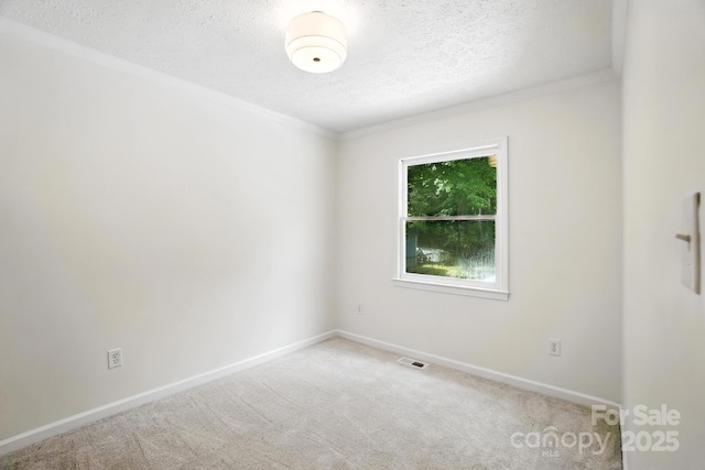 3921 Lake Rd, Charlotte, NC 28269 - photo 13