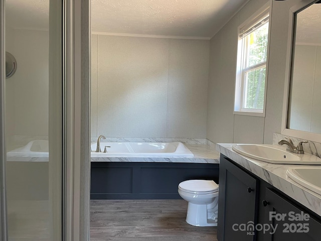 4172 Tallent Rd, Morganton, NC 28655 - full bathroom with healthy amount of natural light, double vanity, wood finished floors, a garden tub, and a textured ceiling