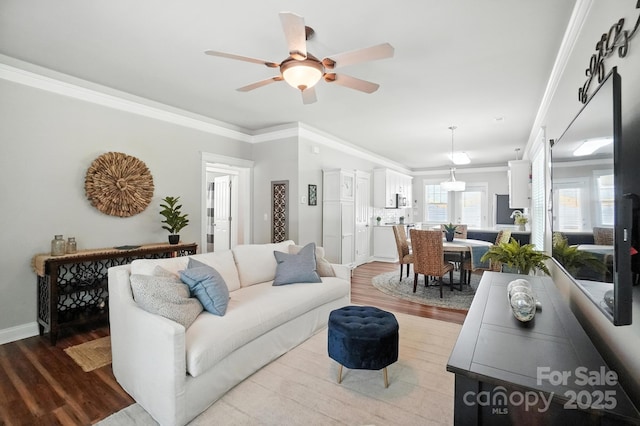 11359 Deer Ridge Ln, Charlotte, NC 28277 - living area with wood finished floors, ceiling fan, and crown molding