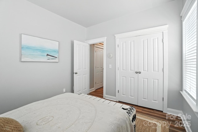 11359 Deer Ridge Ln, Charlotte, NC 28277 - bedroom with wood finished floors, multiple windows, and a closet