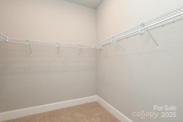 14019 Cameryn Elise Dr, Cornelius, NC 28031 - photo 25