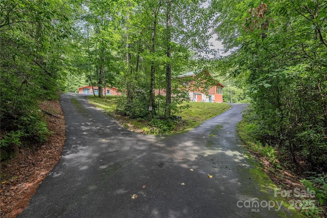 288 Hard To Find Dr, Brevard, NC 28712 - view of asphalt driveway featuring a view of trees
