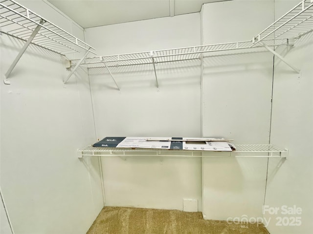 325 Scaley Bark Dr, Salisbury, NC 28147 - spacious closet featuring carpet floors