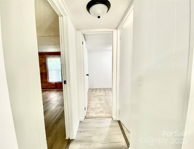 325 Scaley Bark Dr, Salisbury, NC 28147 - hallway featuring light wood-style floors