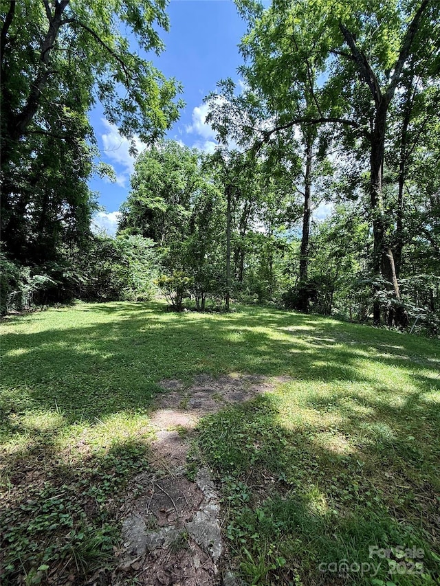 414 Sand Hill Rd, Asheville, NC 28806 - photo 4
