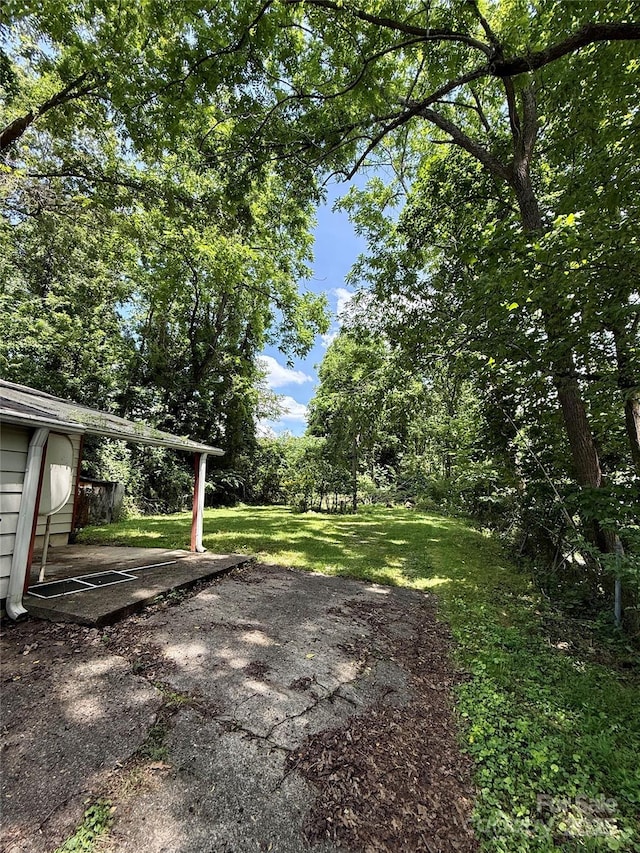 414 Sand Hill Rd, Asheville, NC 28806 - photo 5