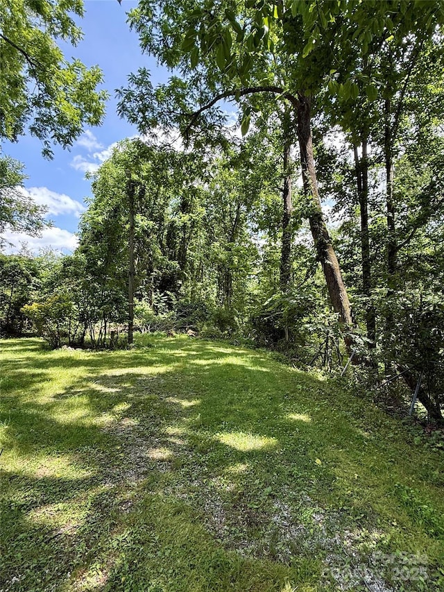 414 Sand Hill Rd, Asheville, NC 28806 - photo 6