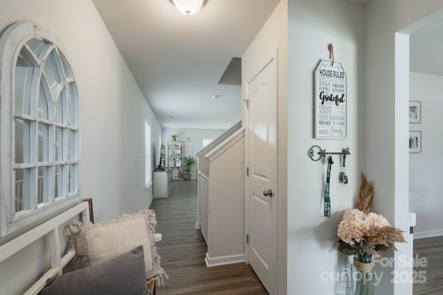 1736 Rhynes Trl, Rock Hill, SC 29732 - corridor featuring dark wood-type flooring and baseboards