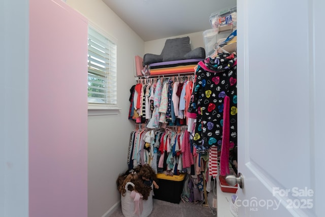 1736 Rhynes Trl, Rock Hill, SC 29732 - view of spacious closet