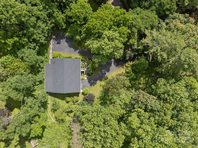 73 Waters Rd, Asheville, NC 28805 - photo 4