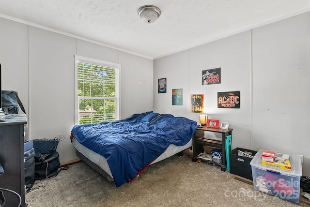 27 Sage Way, Clyde, NC 28721 - carpeted bedroom with crown molding and a textured ceiling