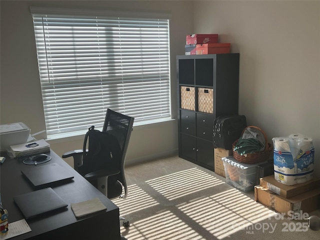 15005 Savannah Hall Dr Unit 72, Charlotte, NC 28273 - home office featuring carpet flooring