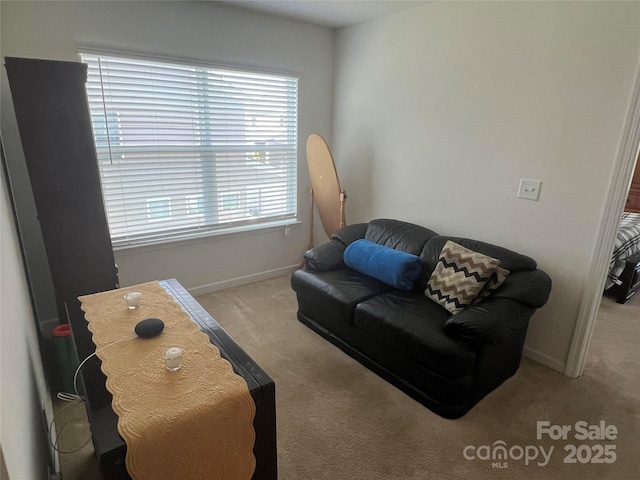15005 Savannah Hall Dr Unit 72, Charlotte, NC 28273 - living room featuring carpet floors