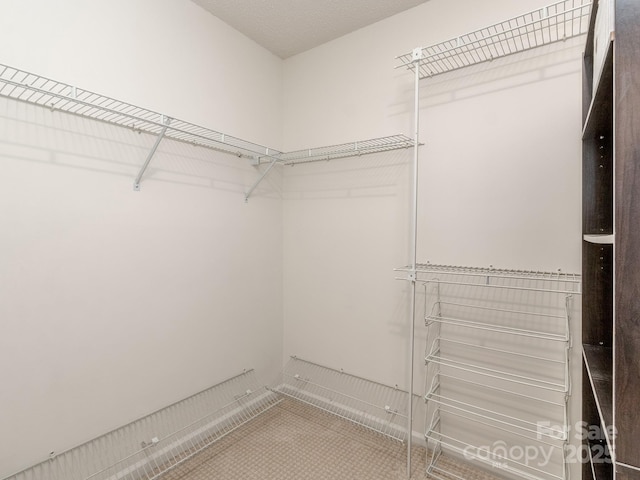 4801 Pennant Pl, Charlotte, NC 28212 - view of walk in closet