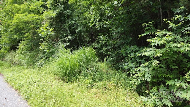 830 Cove Creek Ln, Weaverville, NC 28787