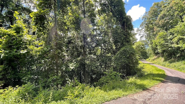 830 Cove Creek Ln, Weaverville, NC 28787