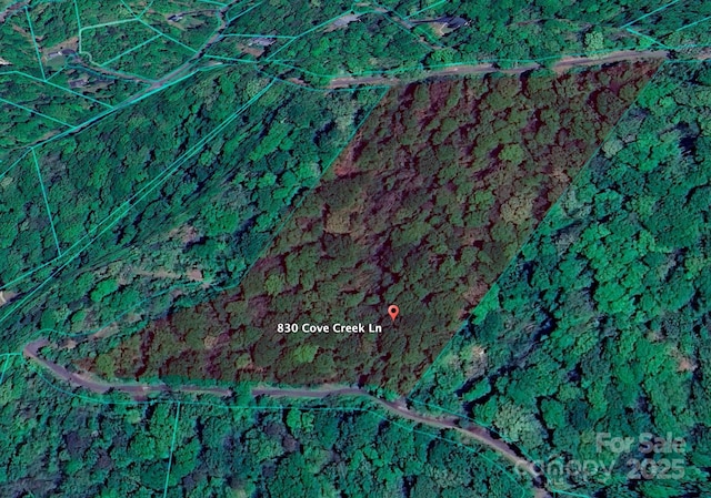 830 Cove Creek Ln, Weaverville, NC 28787