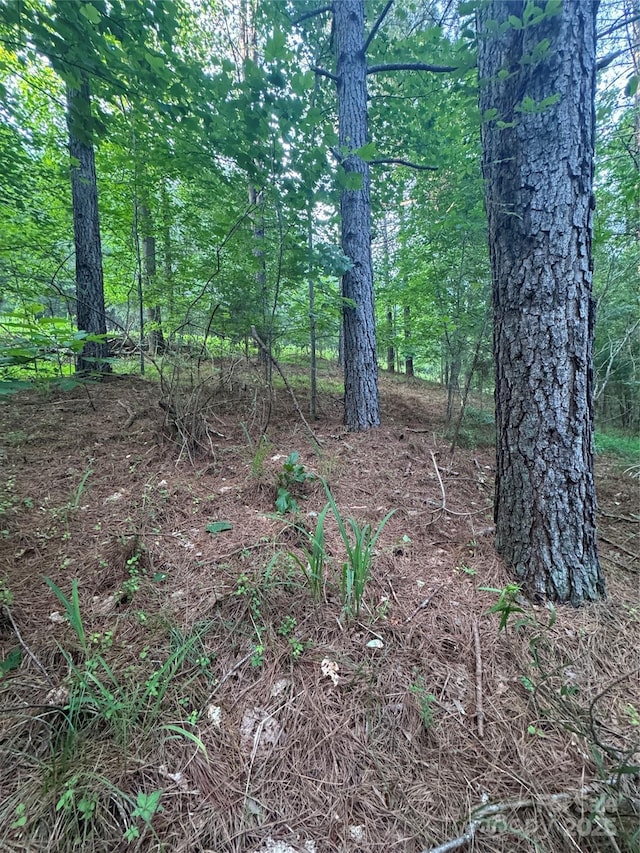 0 Clearwater Pkwy Unit 203, Rutherfordton, NC 28139