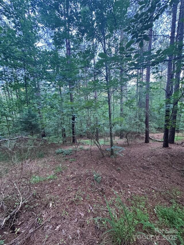 0 Clearwater Pkwy Unit 203, Rutherfordton, NC 28139