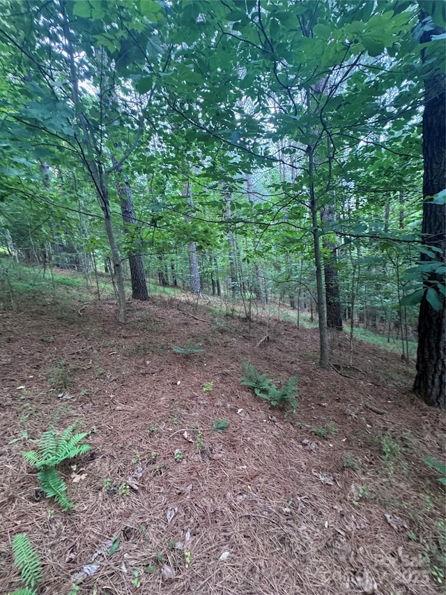 0 Clearwater Pkwy Unit 203, Rutherfordton, NC 28139